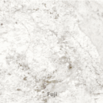 TYVARIAN FUJI