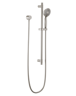 Hand Shower Delta 51361 Stainless