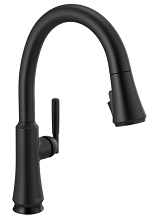 Kitchen Faucet Delta Coranto Matte Black