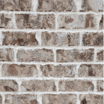 Masonry Brick US Brick Oyster Cove