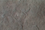 Appalachian Trim Stone
