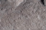 Kentucky Trim Stone